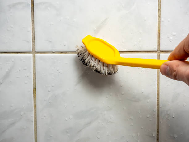Best Mold Remediation for Schools in Clarence Center, NY